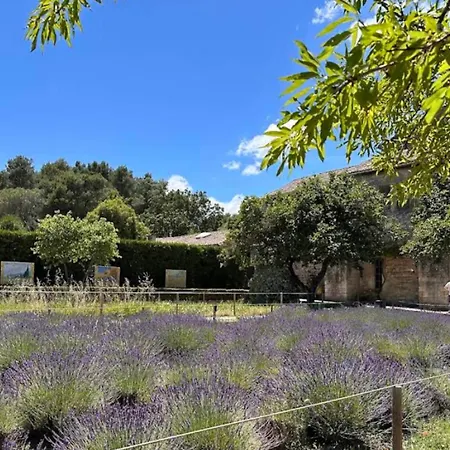 In Provencal Style In A Beautiful Landscape Apartment *